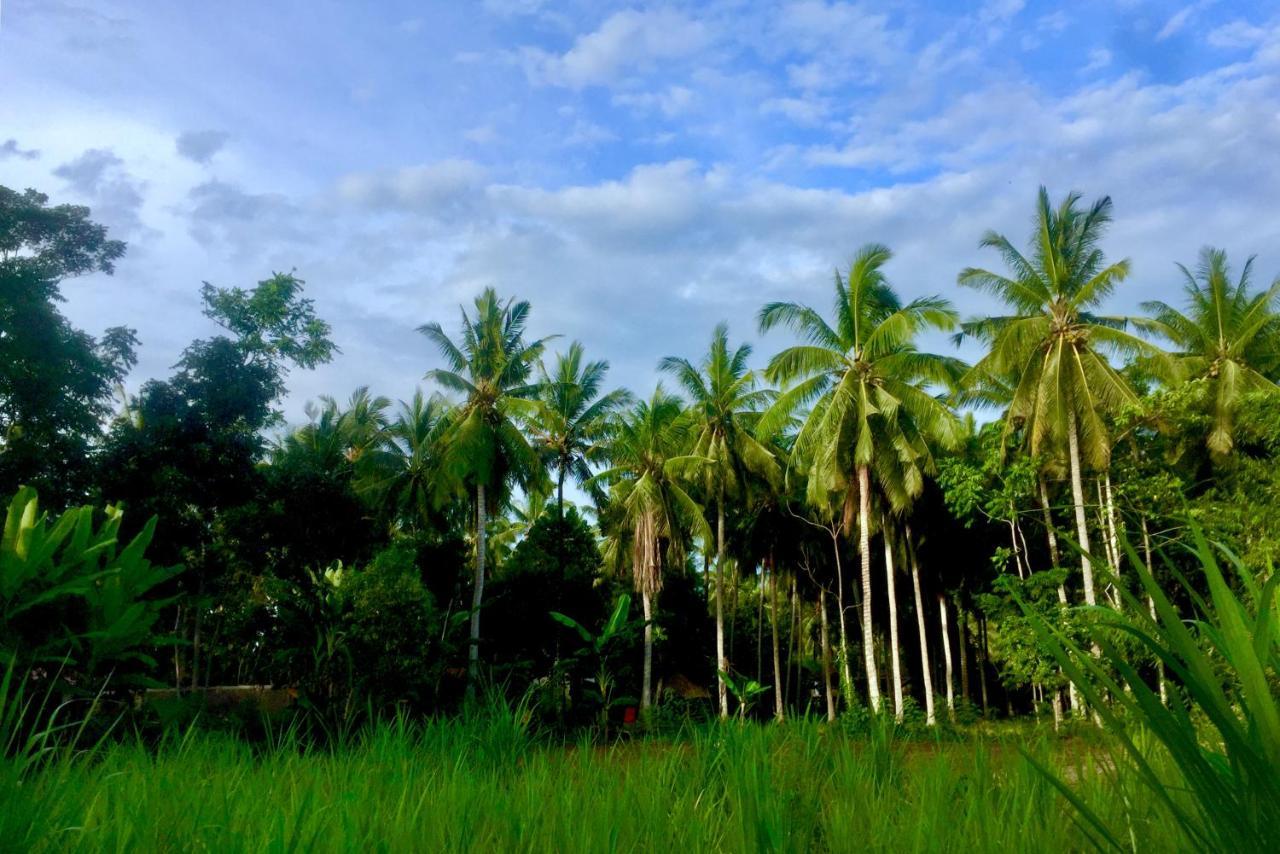 Chemel Homestay Kuta  Dış mekan fotoğraf