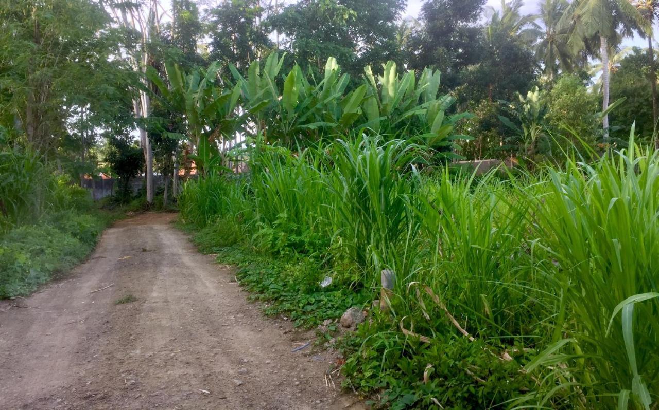 Chemel Homestay Kuta  Dış mekan fotoğraf